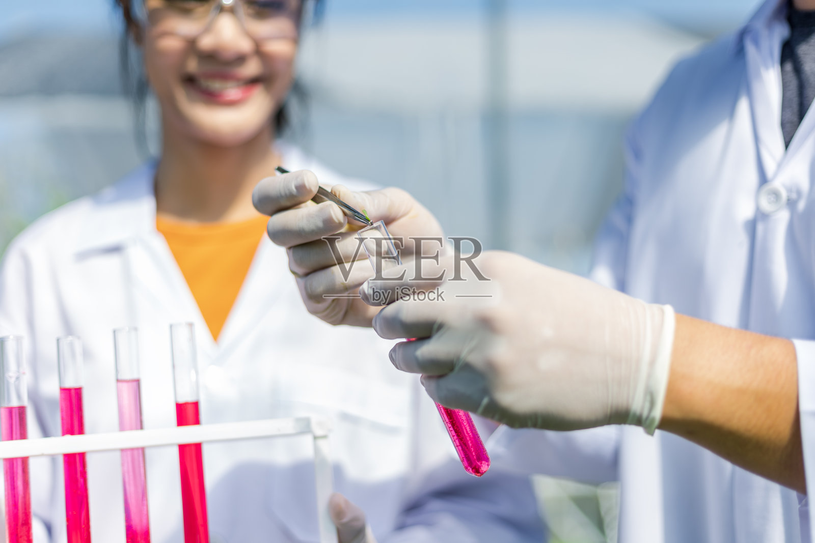 科学家测试溶液，化学检查，在有机水培农场检查新鲜程度。照片摄影图片