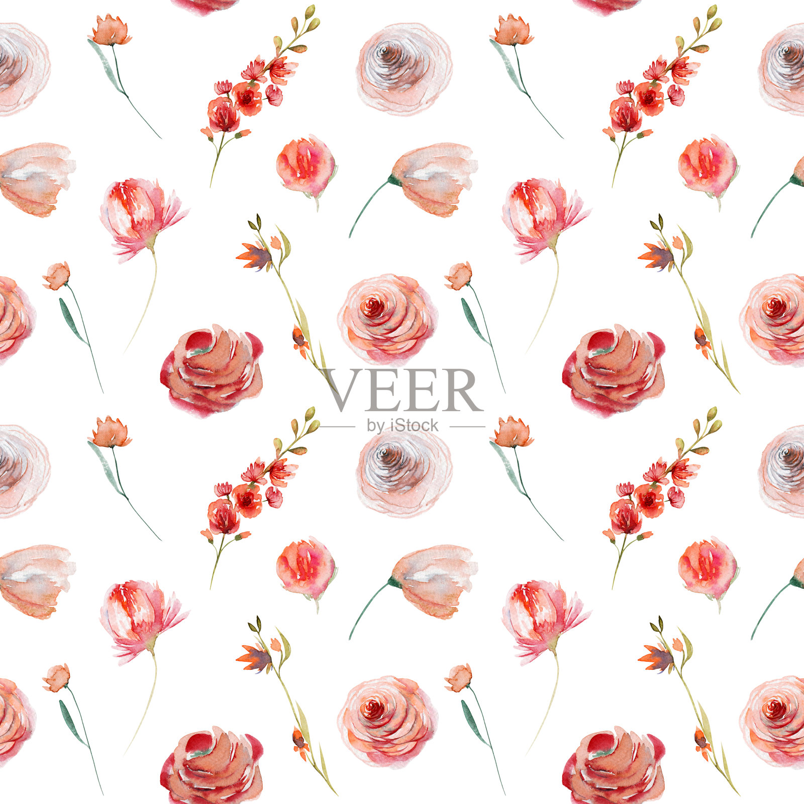 水彩花无缝模式的红色和白色玫瑰和野花，插图上的白色背景插画图片素材