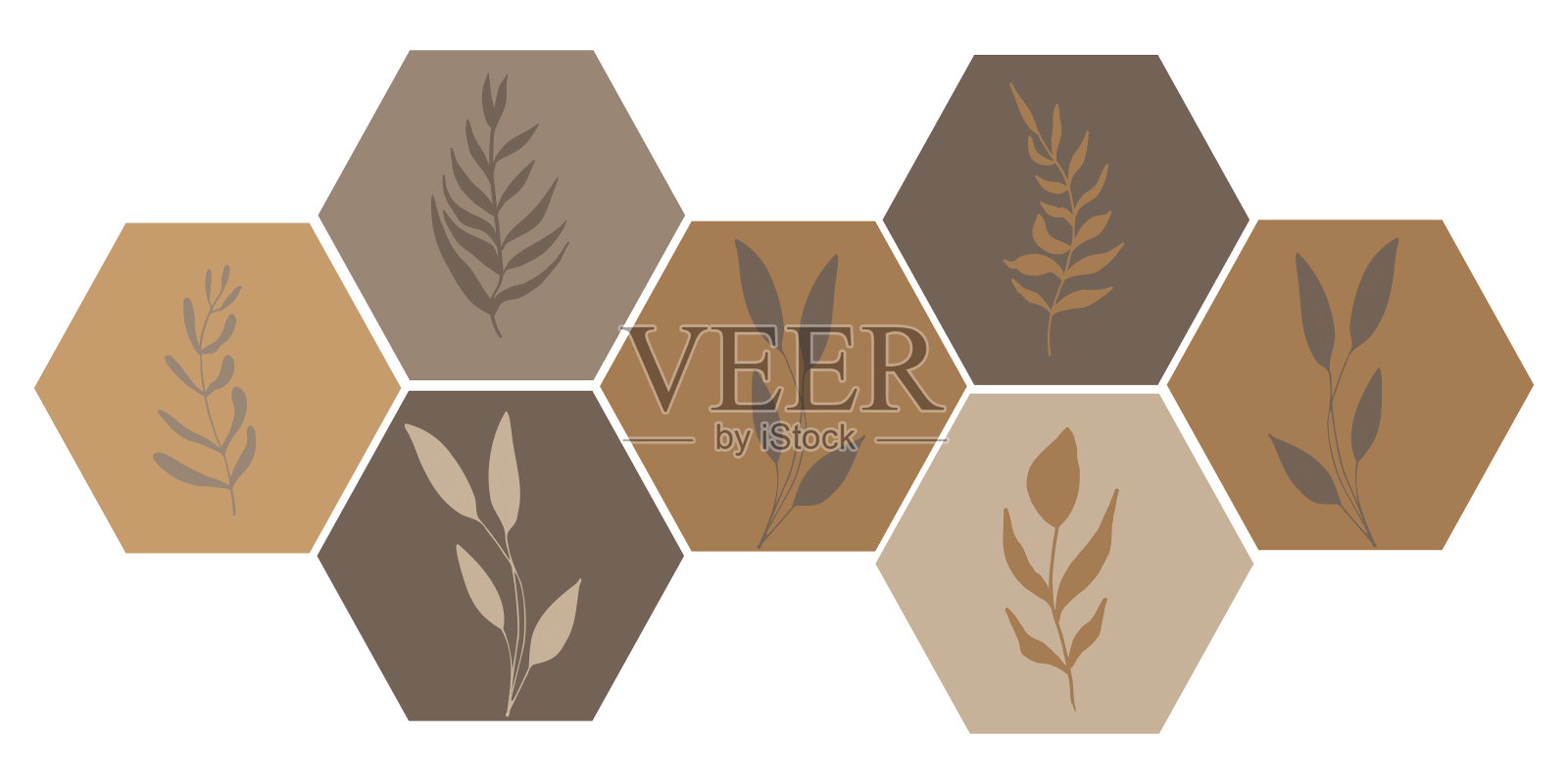 向量集蜂窝状粉彩米色调与树枝、树叶和药草插画图片素材