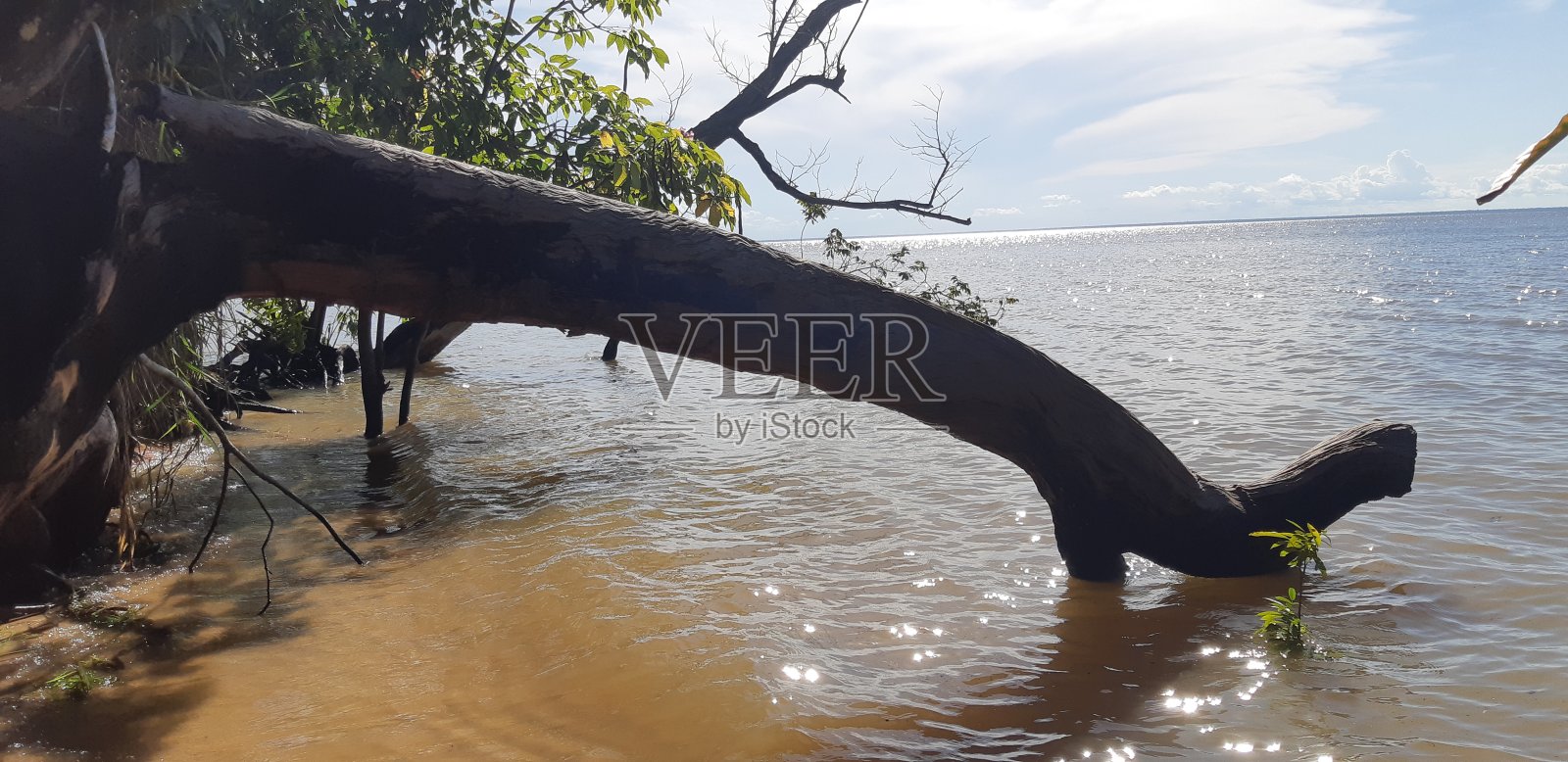 天然美女照片摄影图片