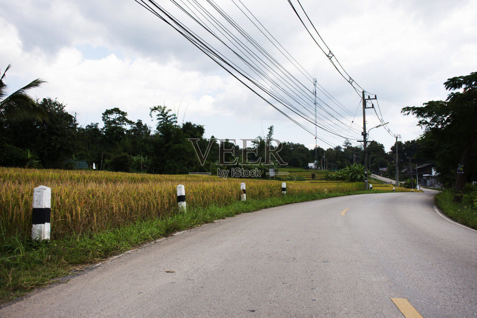 观赏乡村景观交通道路和Baan Huaykaew村的Huay Kaew主街道照片摄影图片