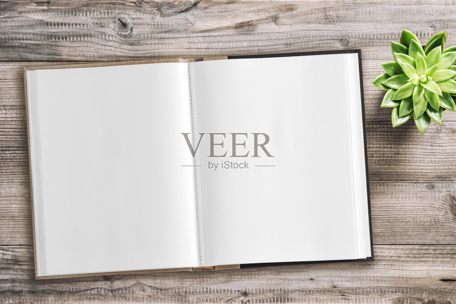打开书本模型平铺多肉植物木质背景照片摄影图片