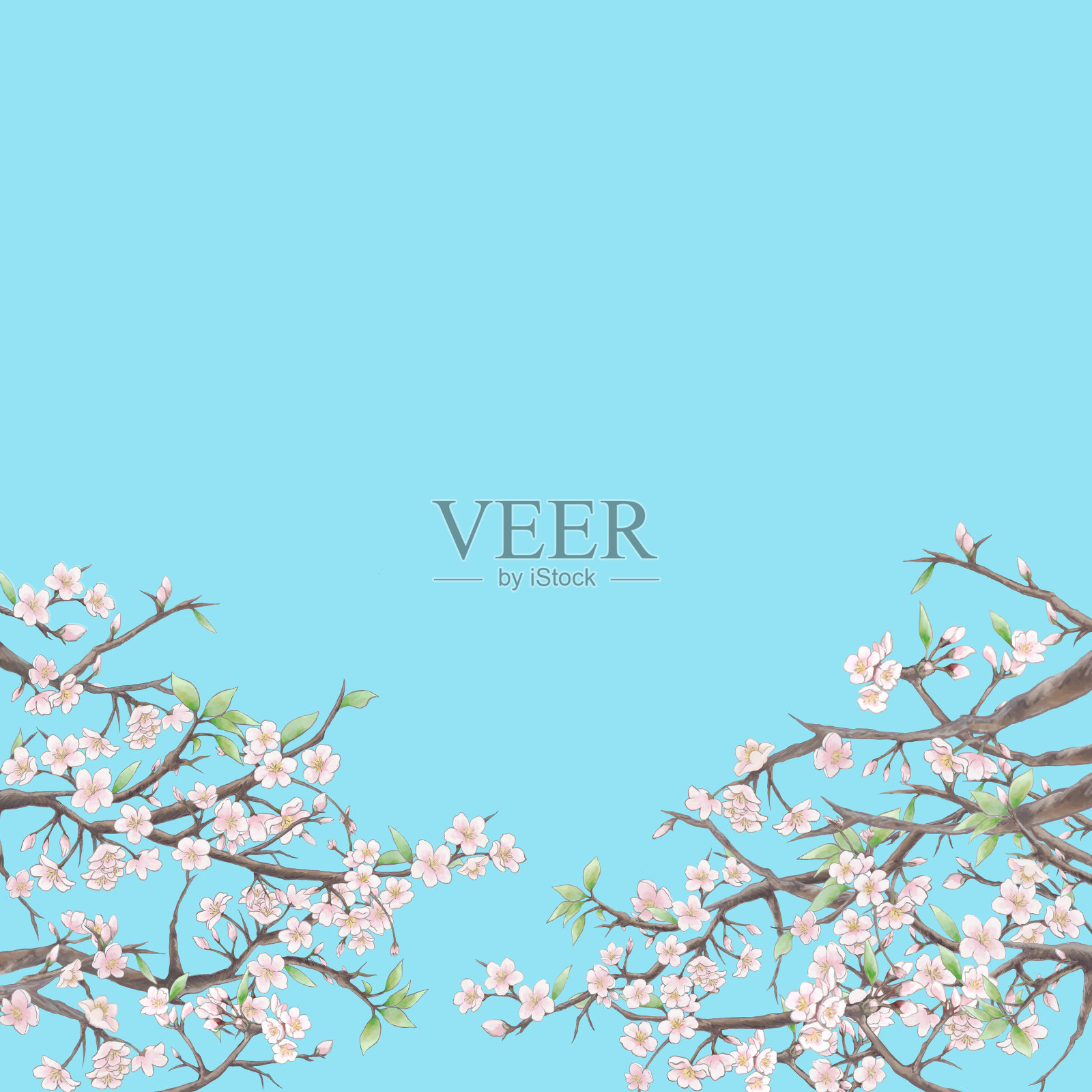 水彩手绘樱花和天蓝色背景插图插画图片素材