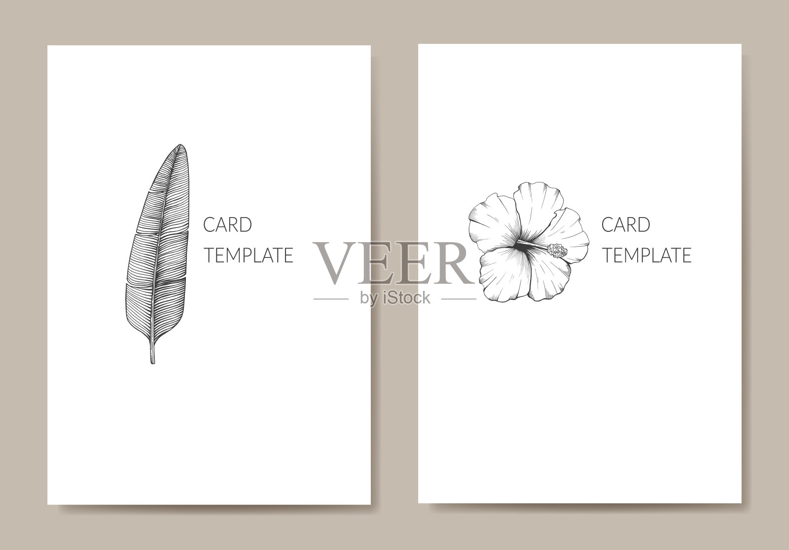 复古风格的简约浪漫婚礼请柬，白色背景。插画图片素材