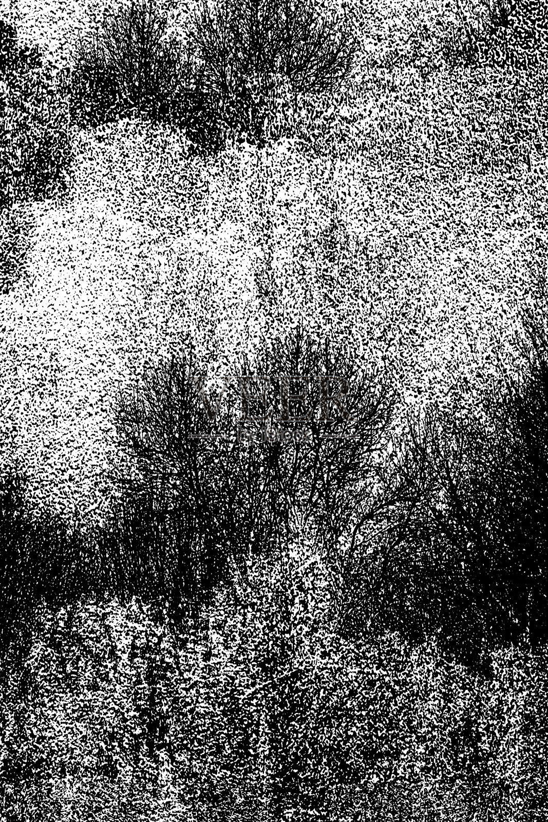 纹理背景与树木照片摄影图片