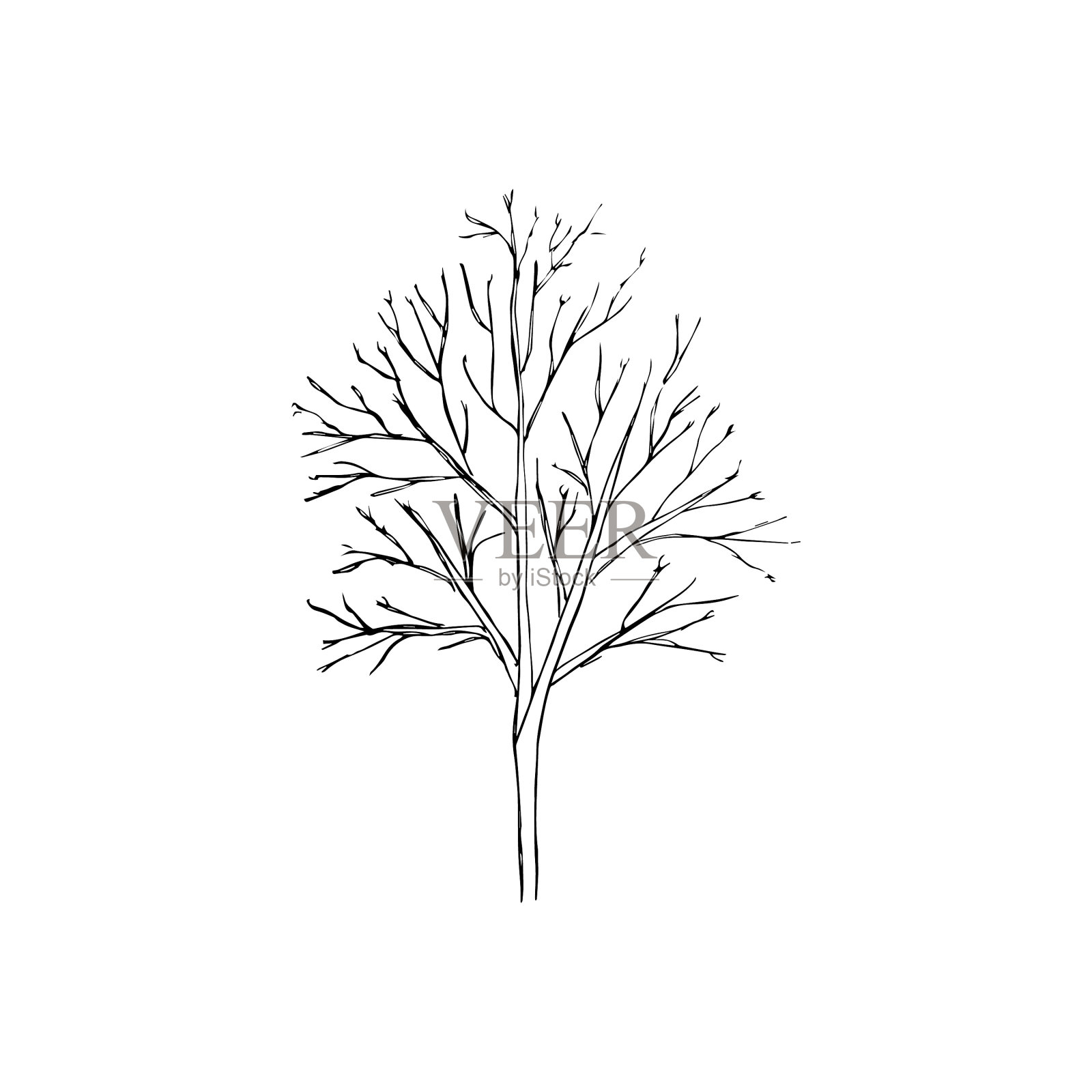 植物被孤立在白色的背景上设计元素图片