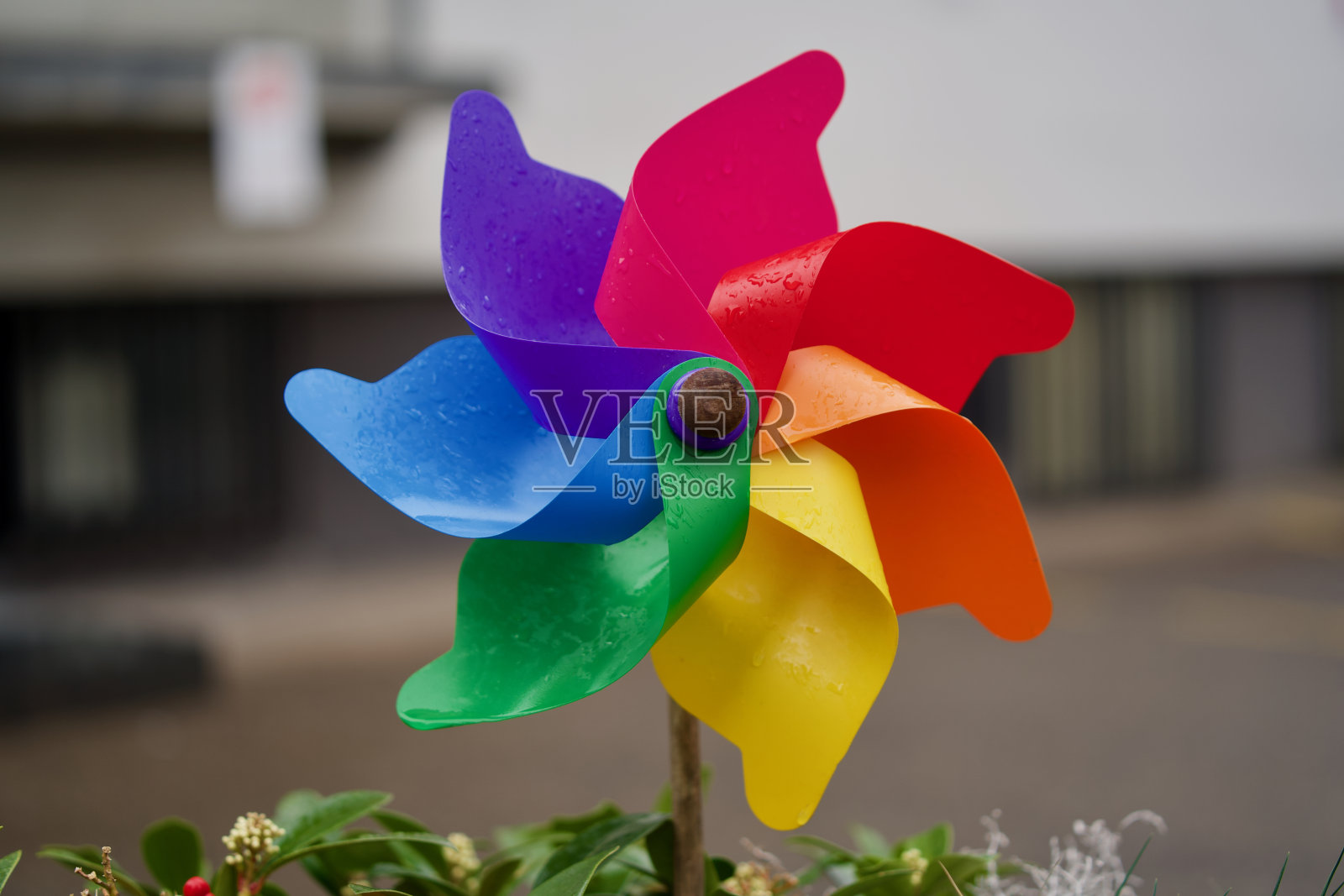 瑞士苏黎世，学校前面的彩色风车。照片摄影图片