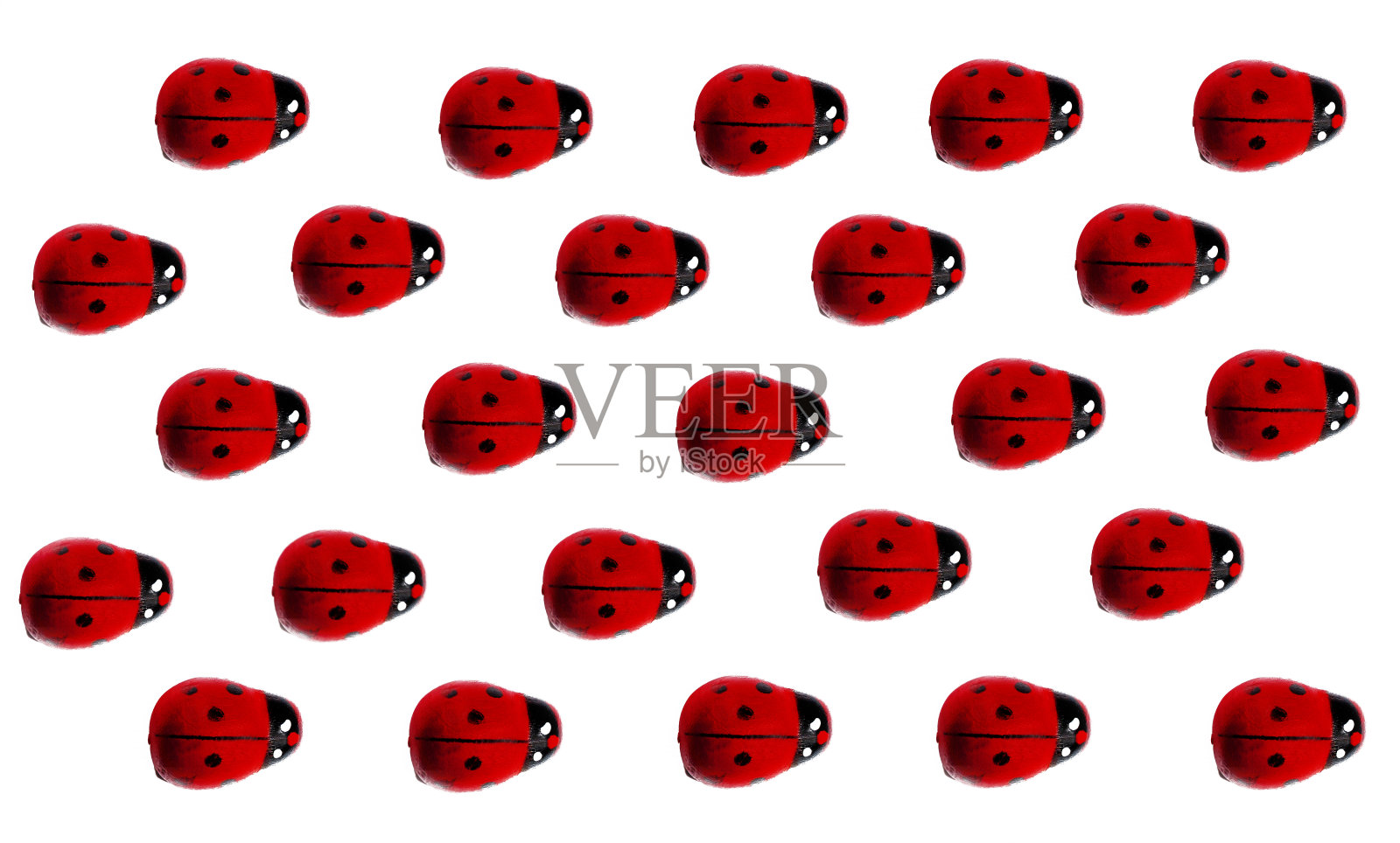 玩具瓢虫在白色的背景。照片摄影图片