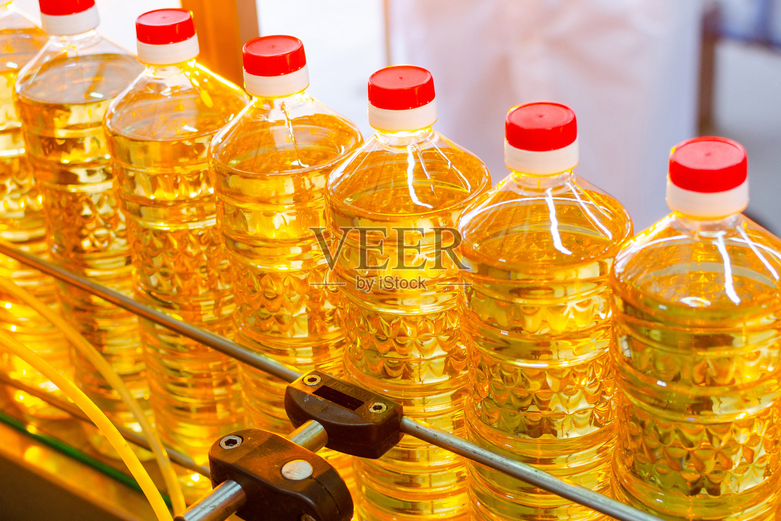 向日葵油。生产和灌装葵花籽成品油的工厂生产线。食品工业的工厂输送机照片摄影图片