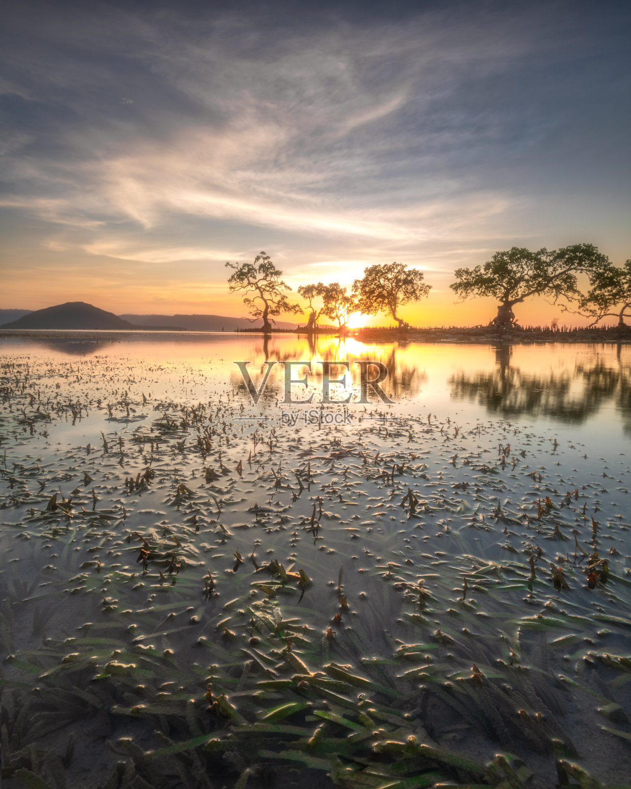 陪你照片摄影图片