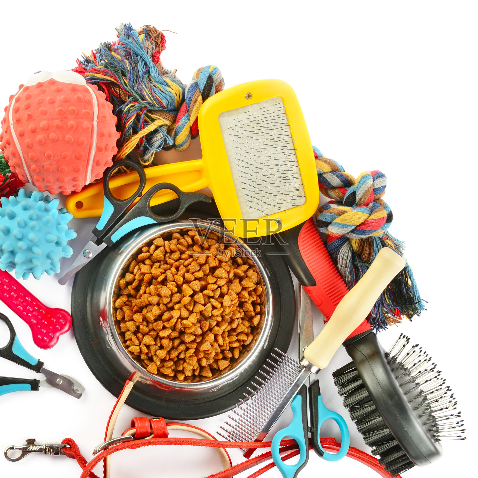 用于照顾和喂养孤立在白色背景上的狗的用品。照片摄影图片