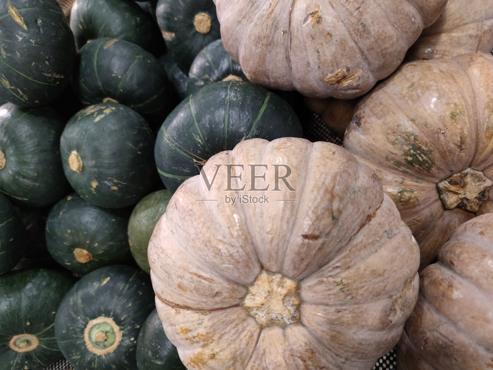 黄色的南瓜和绿色的南瓜照片摄影图片