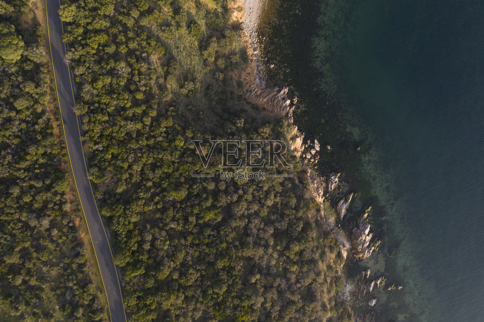 令人惊叹的日落风景在道路，树木和海上鸟瞰照片摄影图片