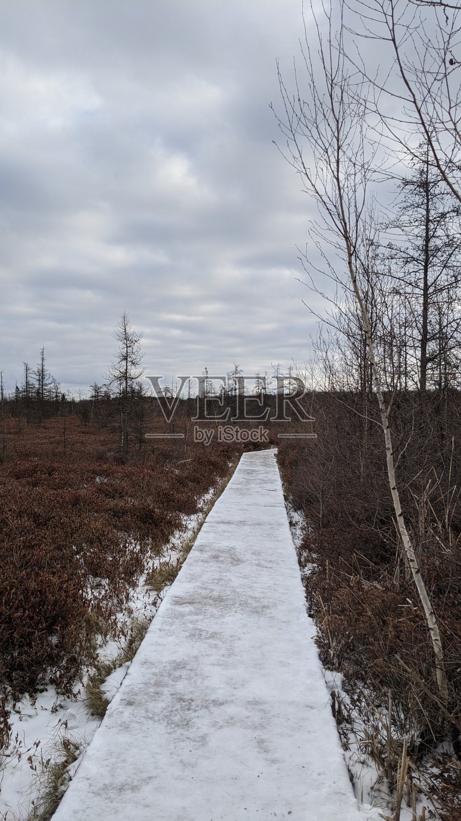 冰雪覆盖的沼泽蓝小径(p2)照片摄影图片