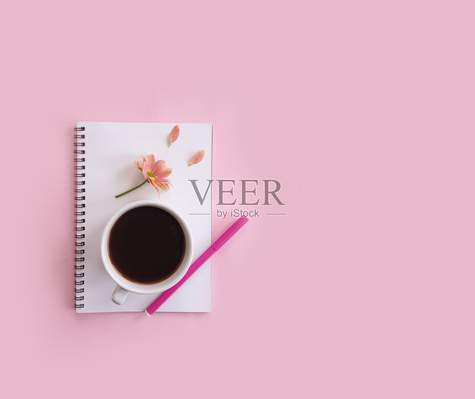 一杯咖啡，一本笔记本，彩色背景上的一朵花照片摄影图片