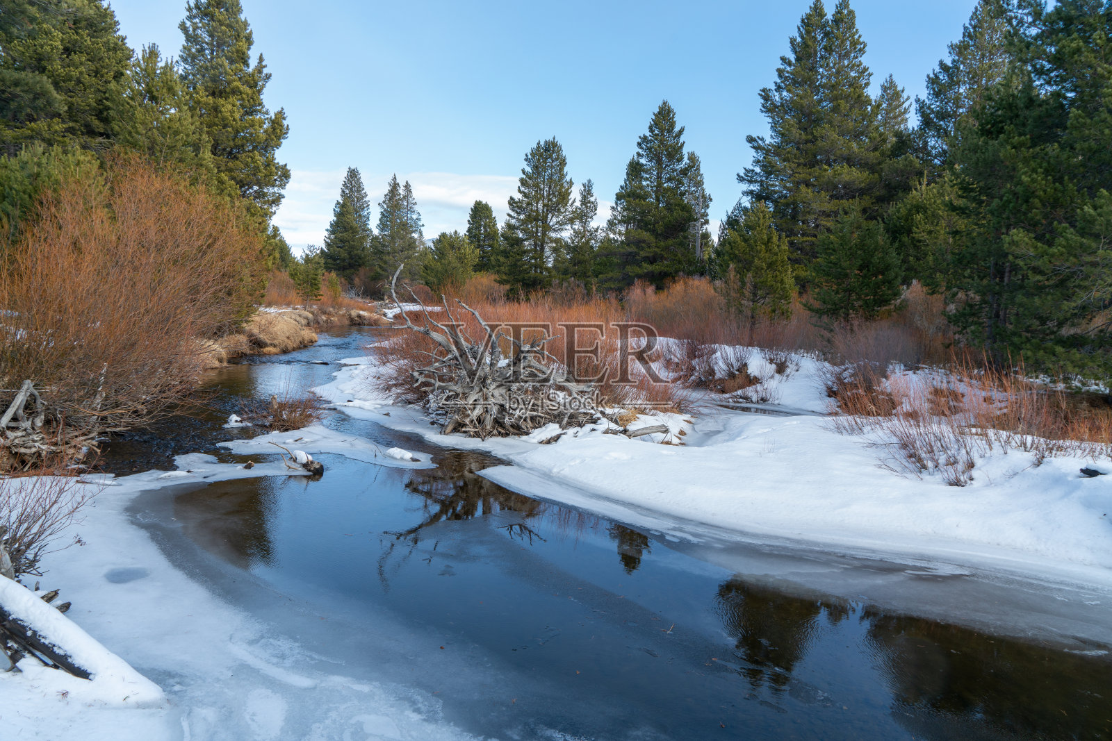 在一个下雪的下午在塔霍湖的瓦肖州立公园徒步旅行照片摄影图片