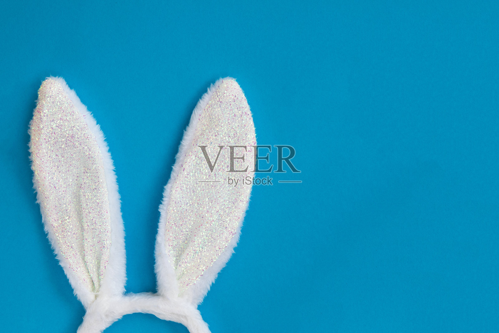 毛茸茸的兔子耳朵孤立在蓝色背景，俯视图，平躺。照片摄影图片