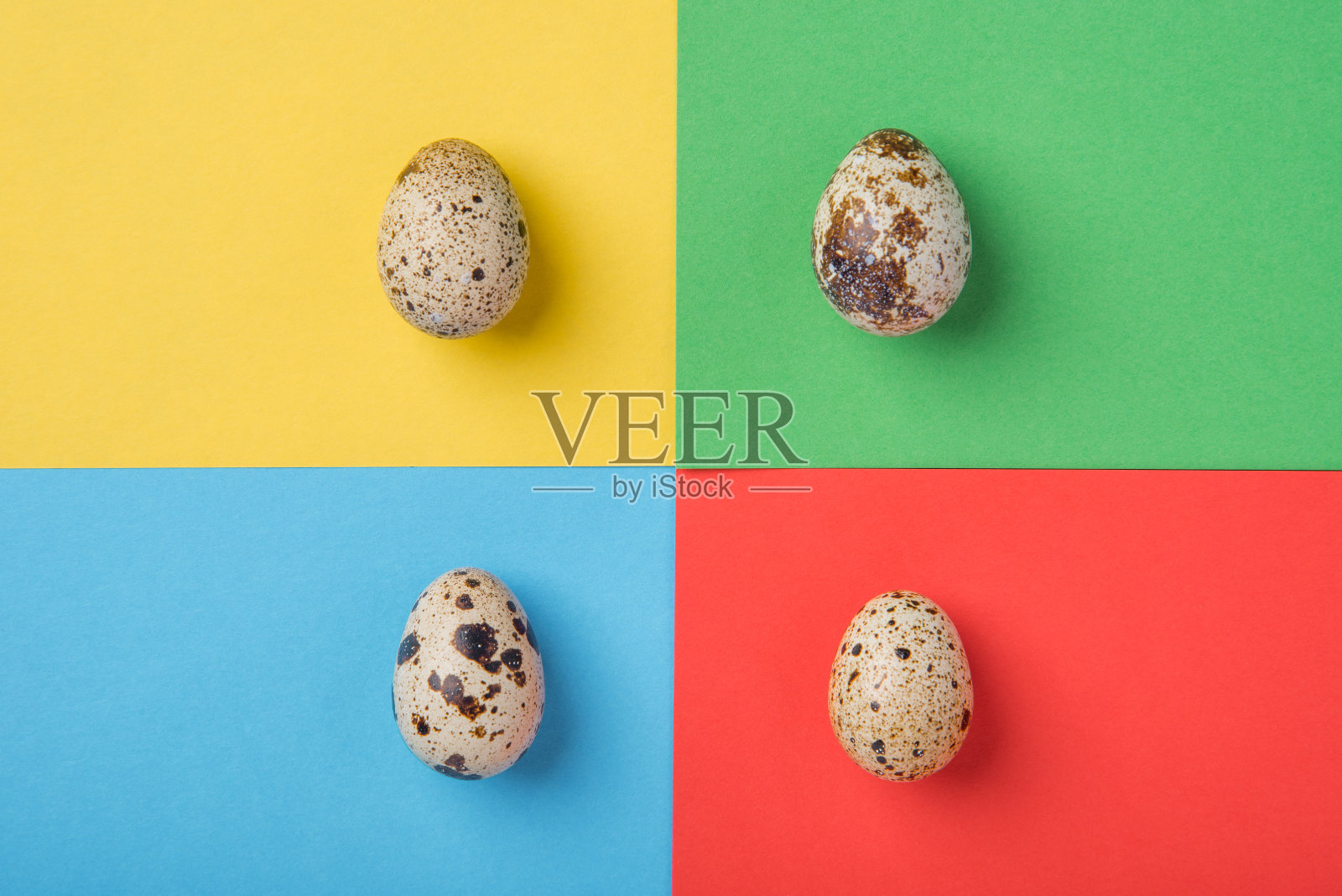 美丽的斑点鹌鹑蛋，在绿色，蓝色，黄色和红色的纸背景照片摄影图片