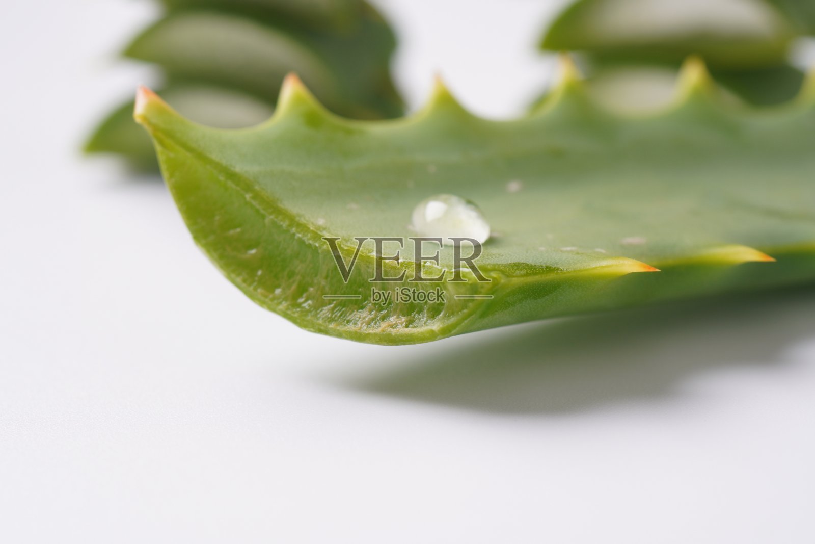 切开的芦荟叶与滴落的汁液照片摄影图片