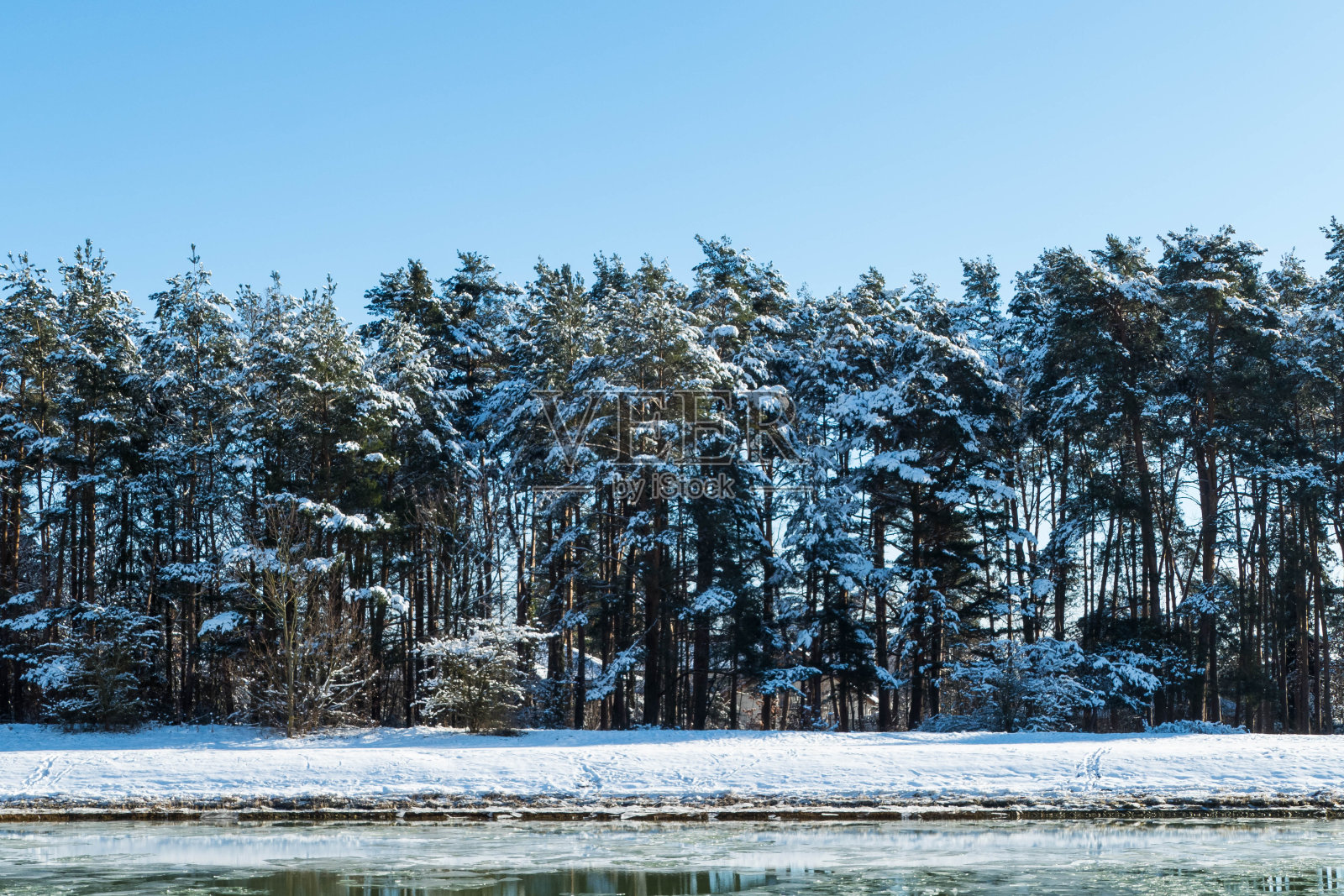海峡上有雪的森林照片摄影图片