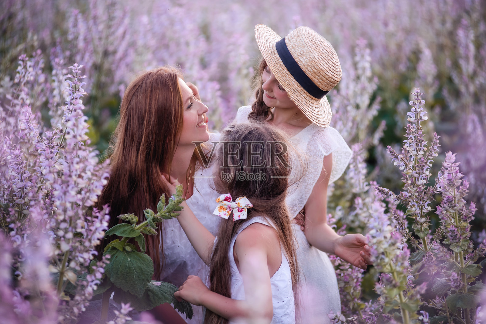 年轻的母亲抱着两个女儿在紫色盛开的鼠尾草田。女孩们在一起拥抱，欢笑，玩得开心。身穿白衣，头戴草帽。带着孩子旅行，关爱母亲。特写肖像照片摄影图片