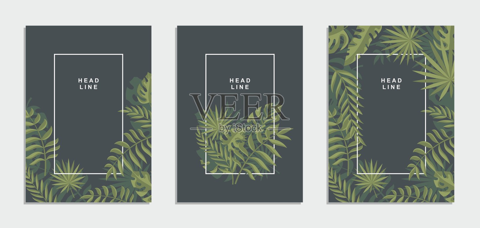 摘要热带树叶公司宣传册。企业形象传单。向量集业务表示。插画图片素材