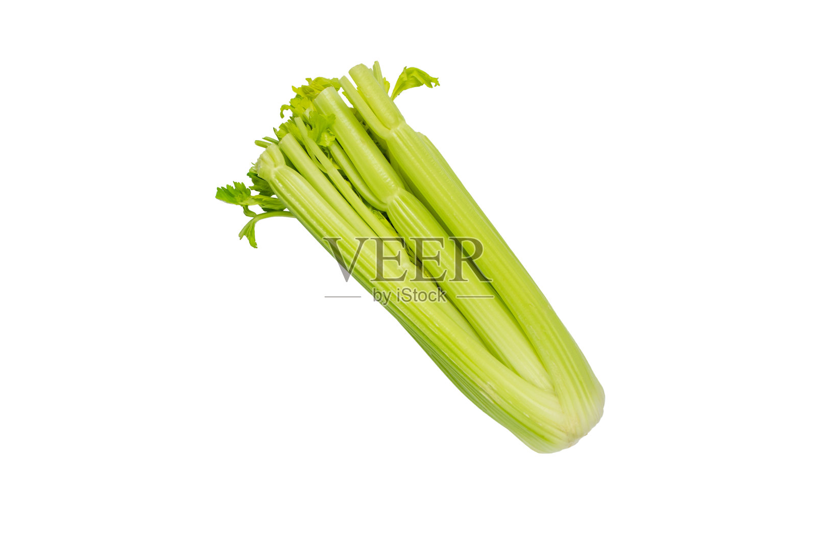 顶部切好的绿色芹菜茎照片摄影图片