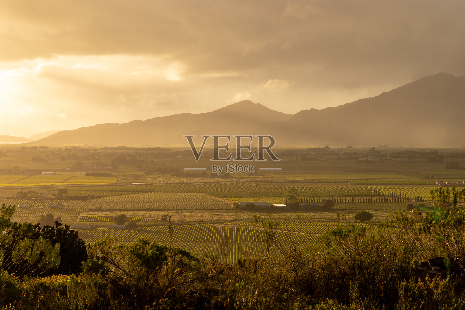 梦幻般的金色山景越过农田照片摄影图片