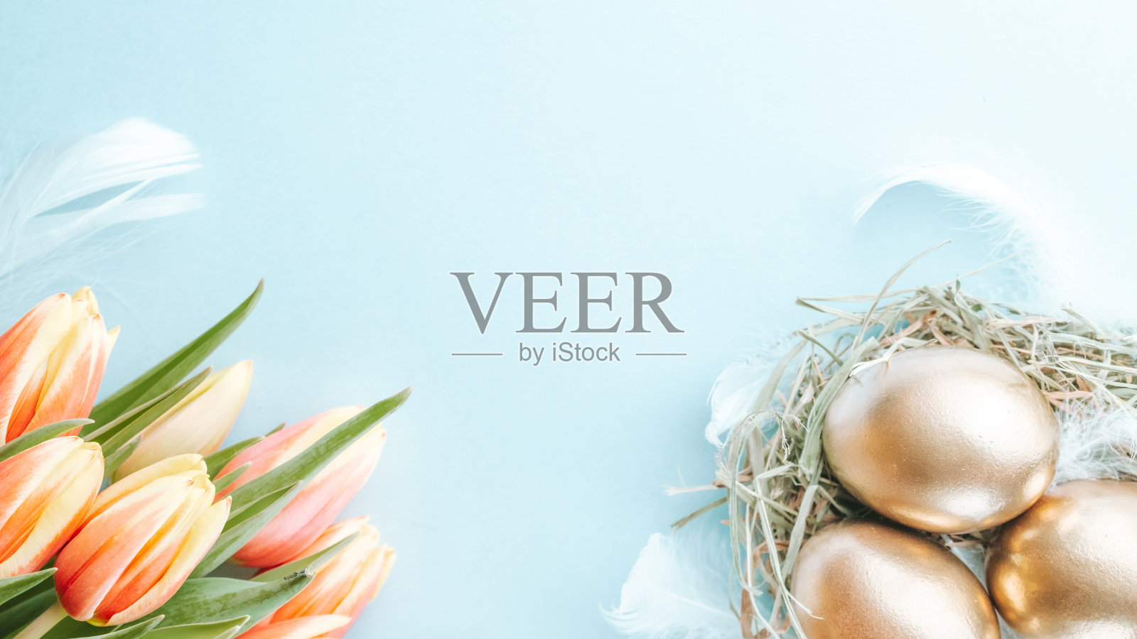 复活节彩蛋篮子里。金蛋篮子与春天郁金香，白色羽毛在柔和的蓝色背景在快乐复活节装饰。传统装饰在阳光下。前视图。照片摄影图片