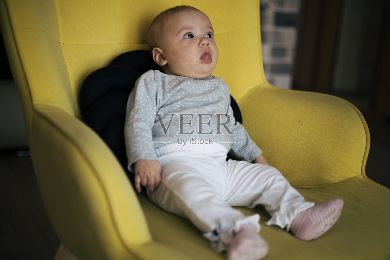 可爱的宝宝Gir照片摄影图片