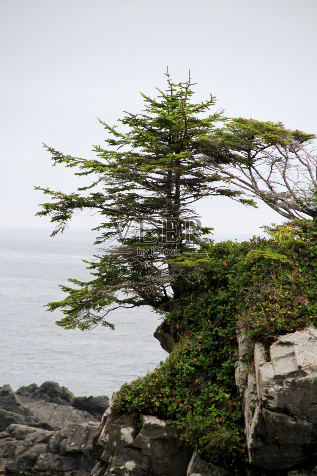 从悬崖照片摄影图片