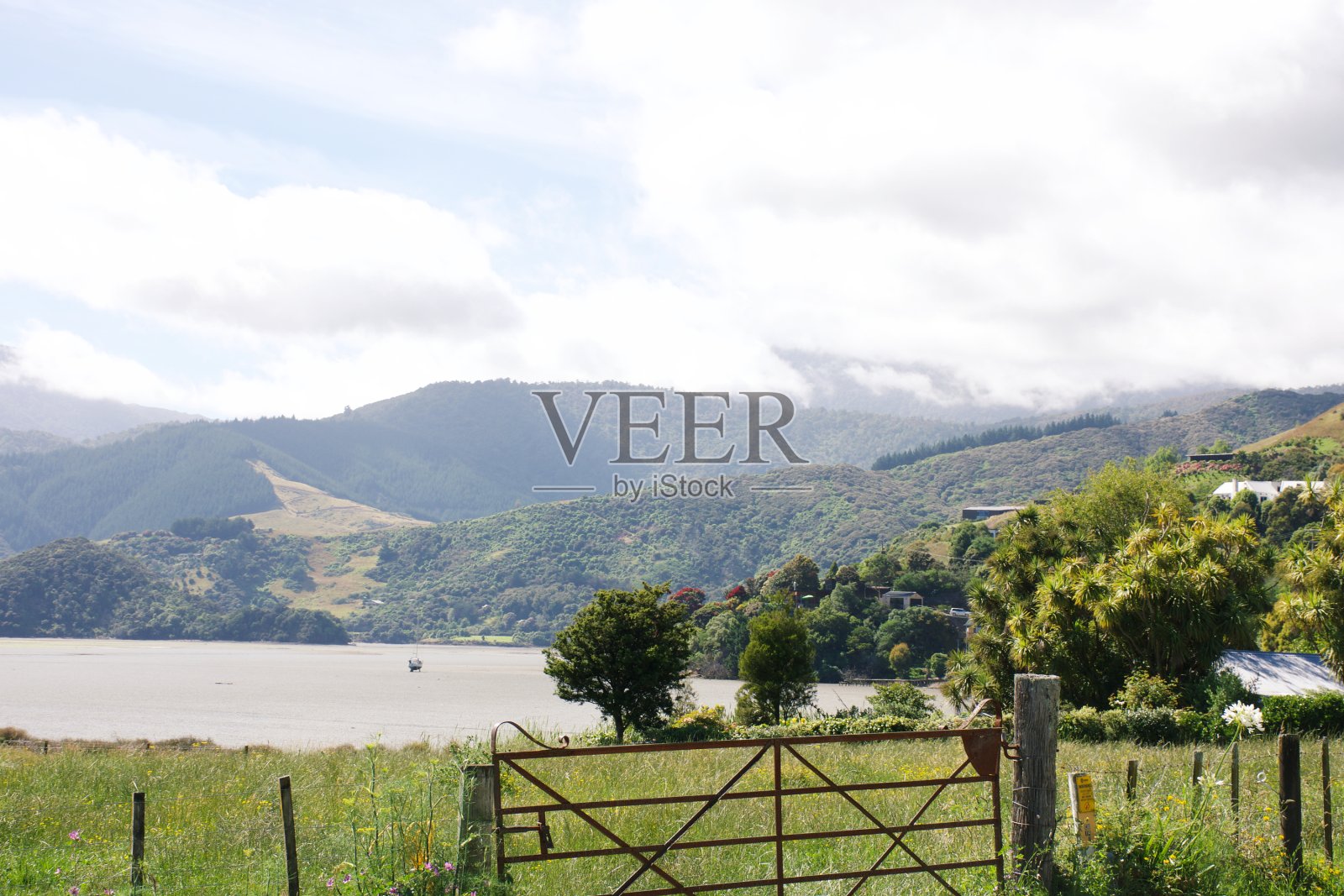 新西兰纳尔逊附近海岸的乡村景色照片摄影图片