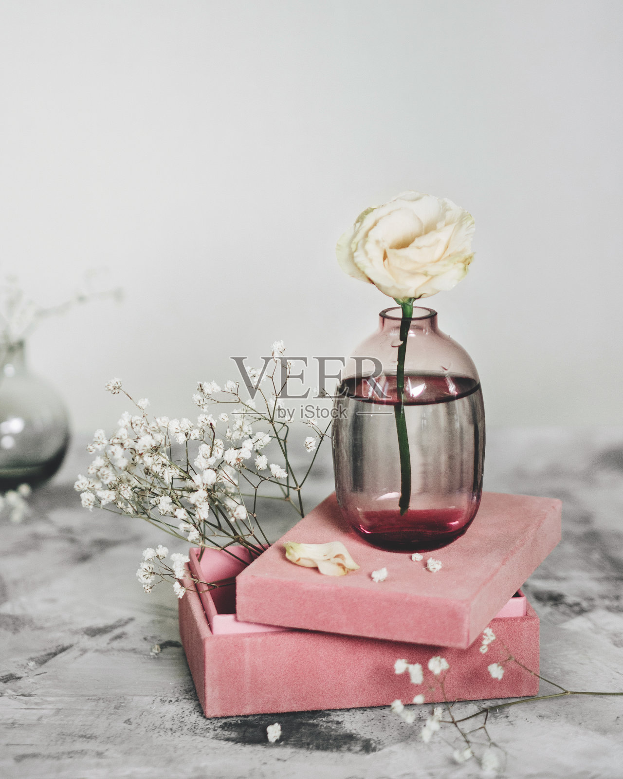一朵白玫瑰插在一个粉红色的小花瓶里，插在一个天鹅绒的粉红色盒子里。从那里可以看到白色的gypsophila。极简主义在花艺。平静的摄影。白色背景。北欧风格。照片摄影图片