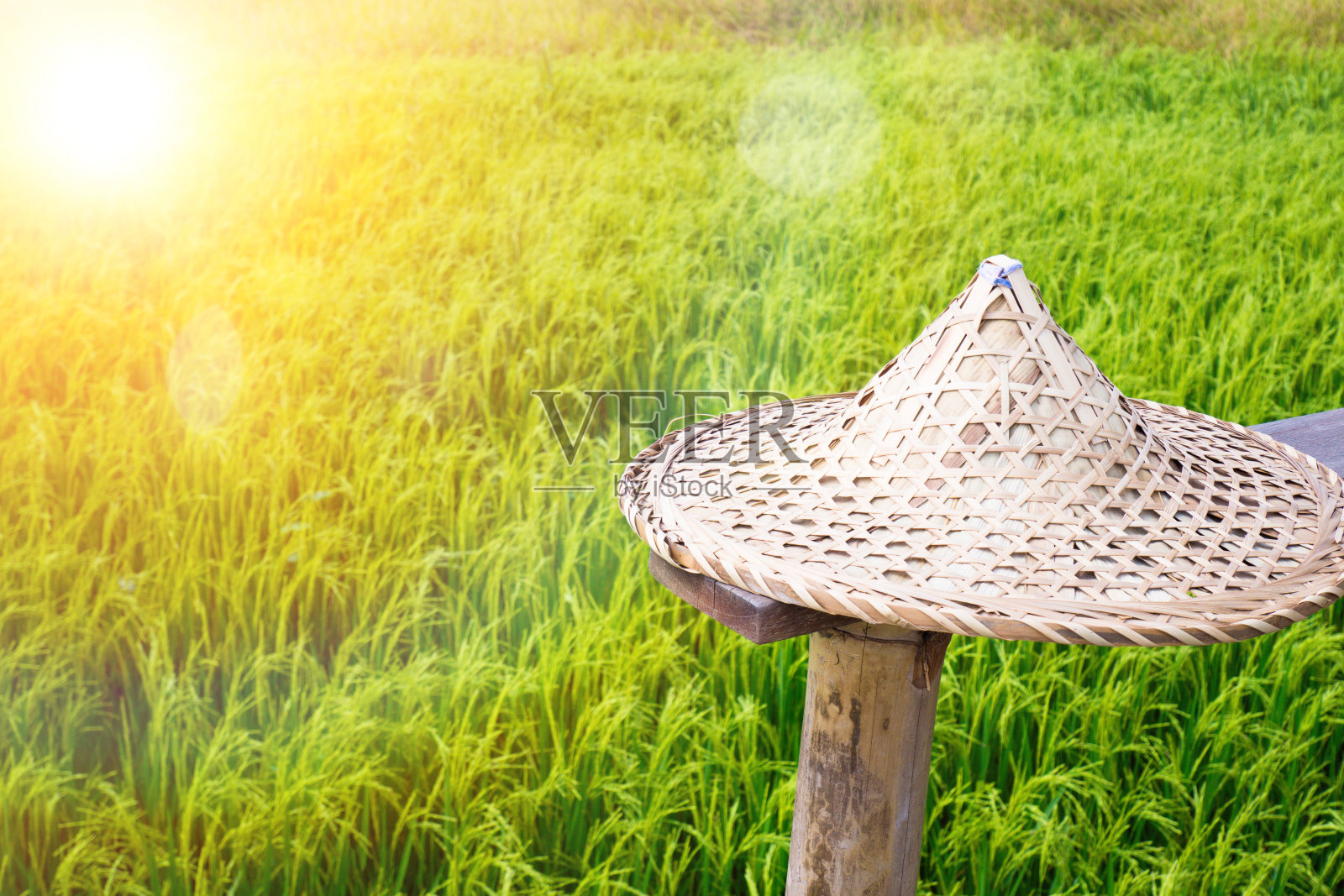 亚洲稻帽或苦力帽。阳光山中国广东地方特色手工编织照片摄影图片