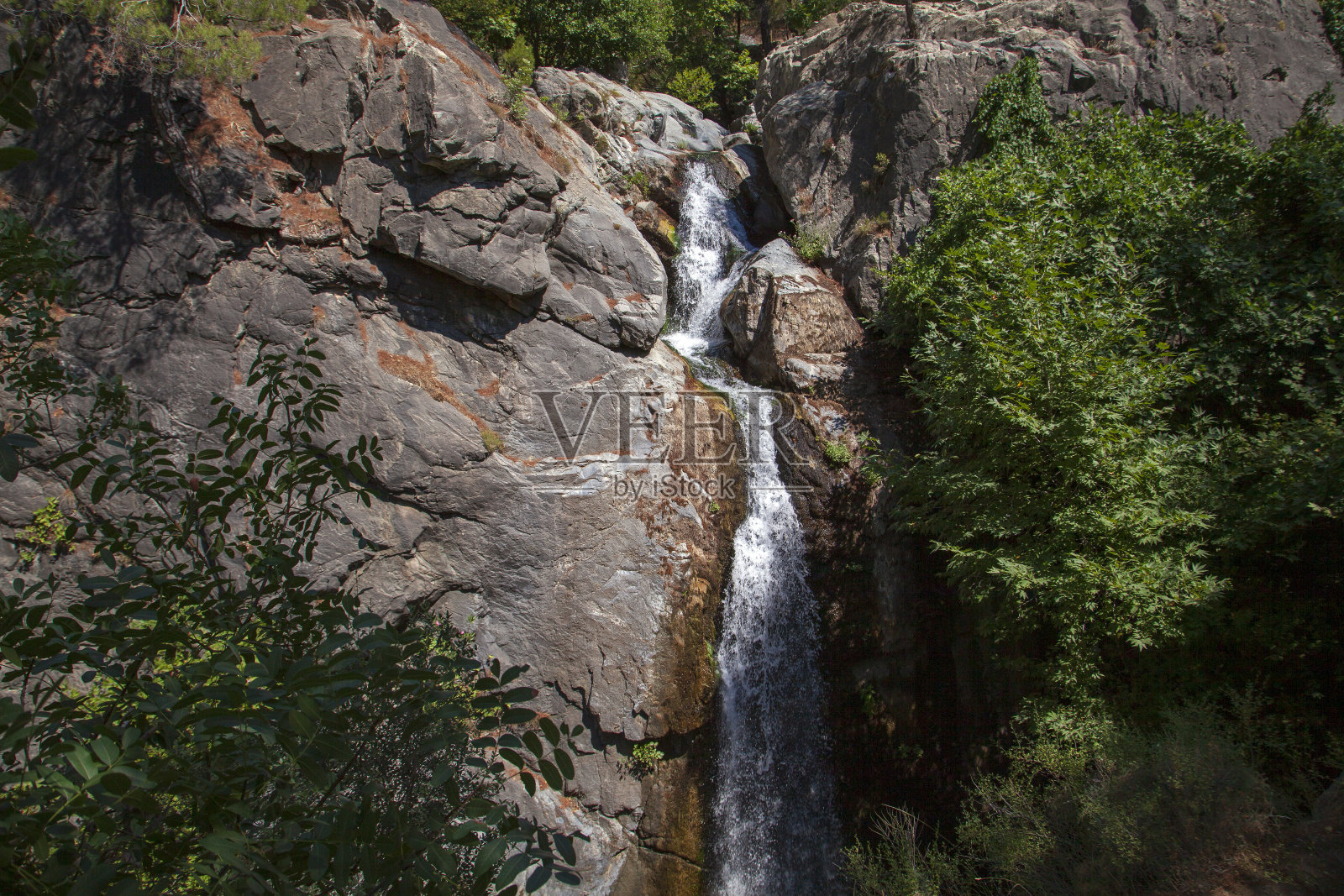 爱达山的小溪，美丽的大自然。火鸡照片摄影图片
