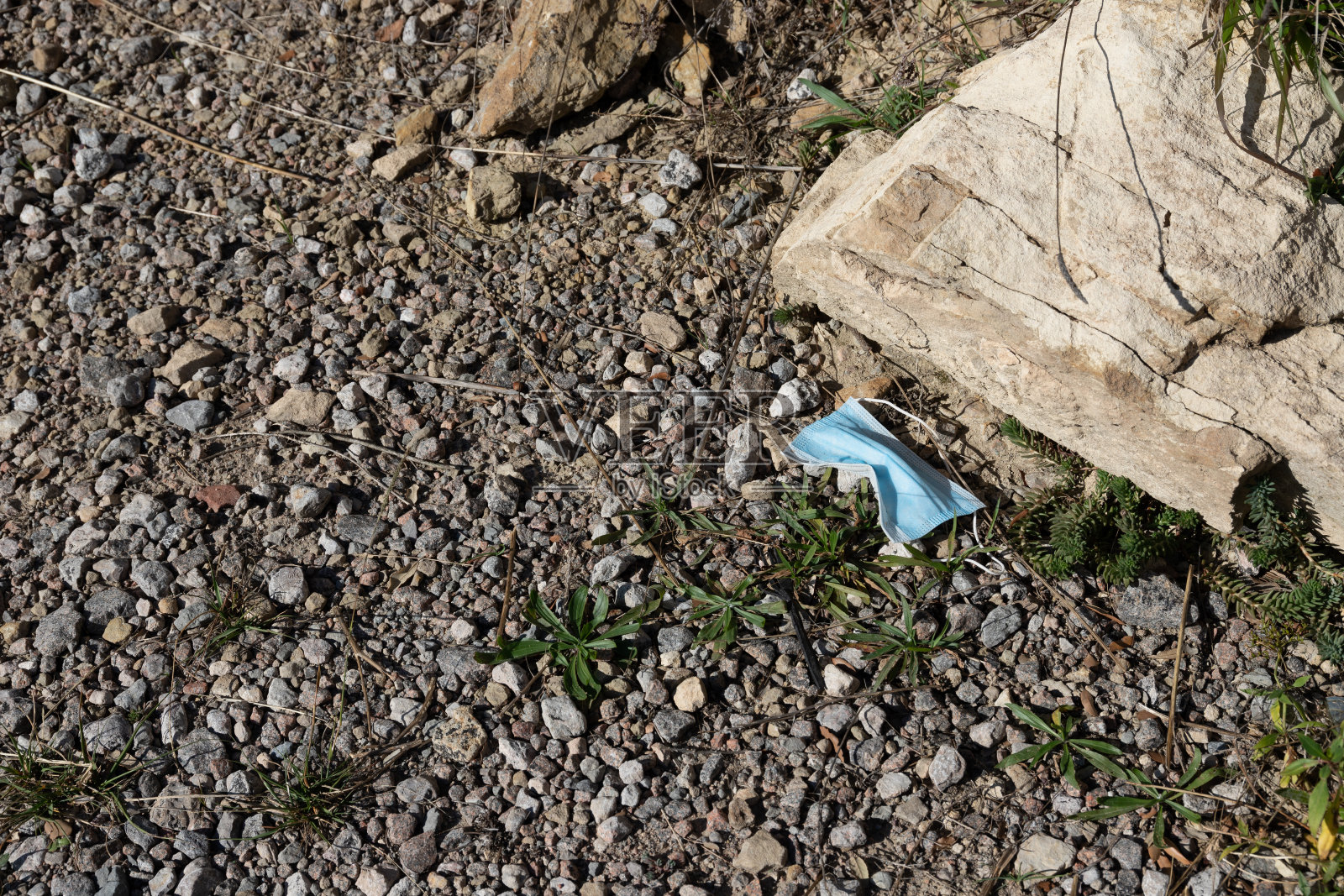 在大自然中使用蓝色防护面具。人类排泄物，冠状病毒对自然和循环利用的影响。垃圾在大自然、树林和自然公园里照片摄影图片