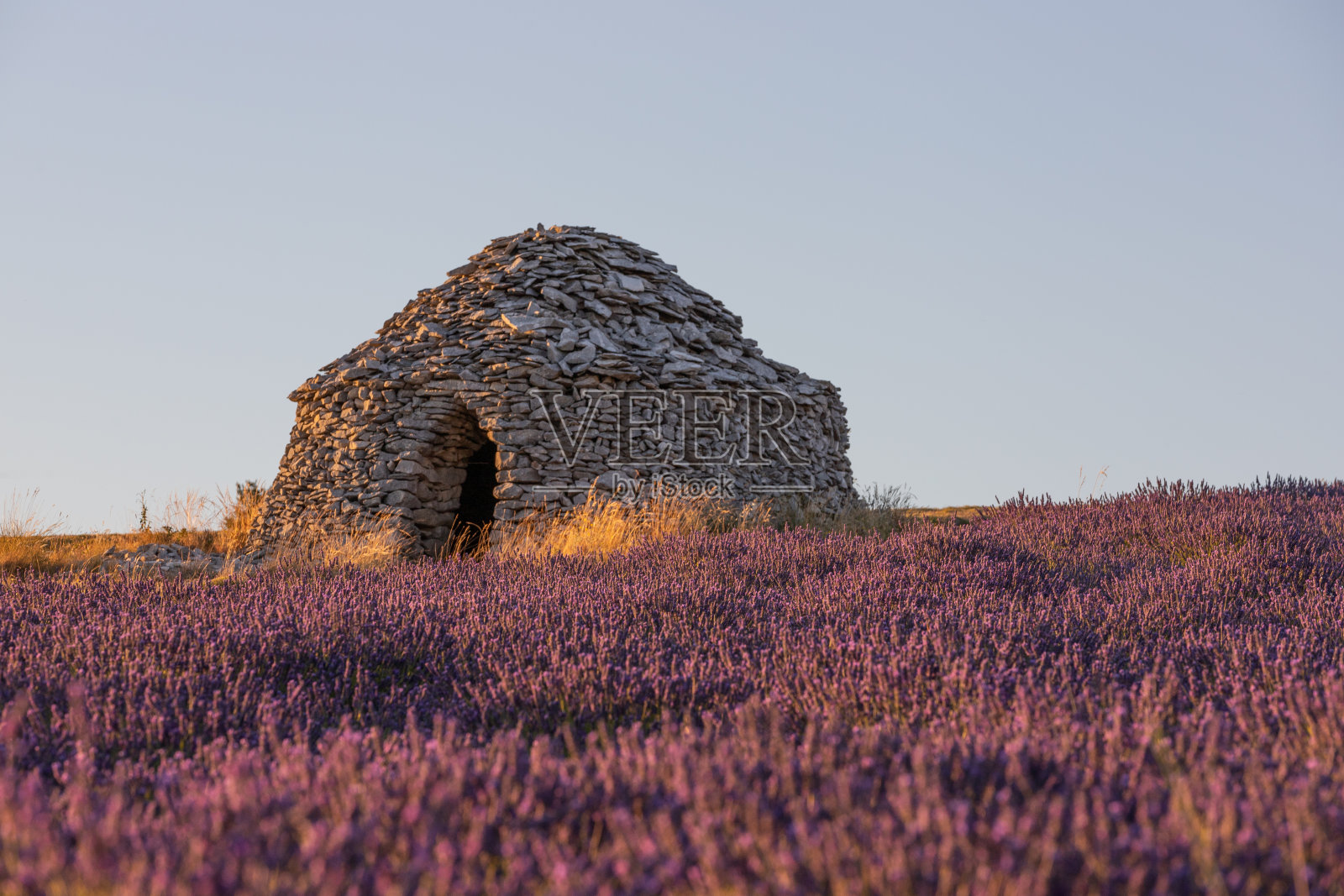 欧洲法国普罗旺斯薰衣草田里的石头小屋照片摄影图片