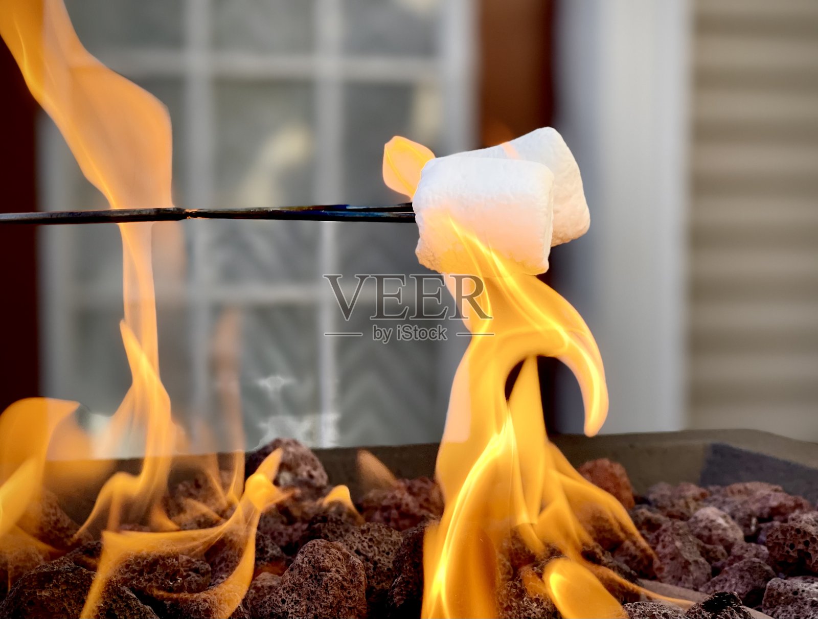 烤棉花糖(1)照片摄影图片