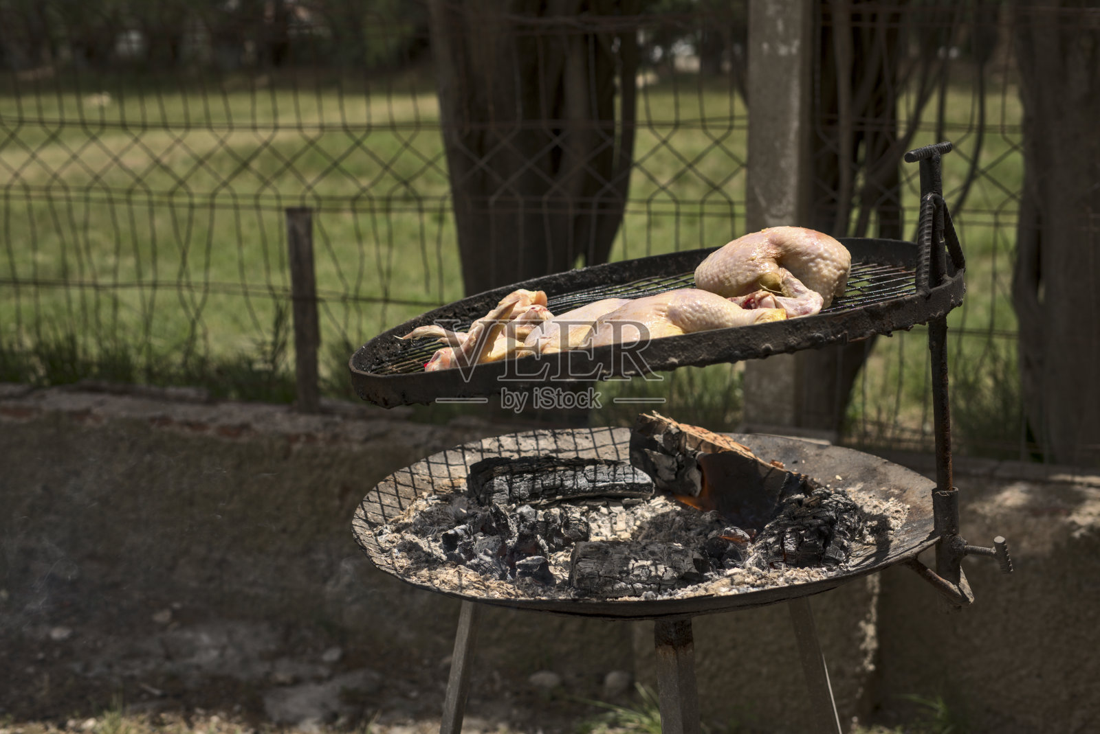 在烤架上烤制的生鸡块照片摄影图片