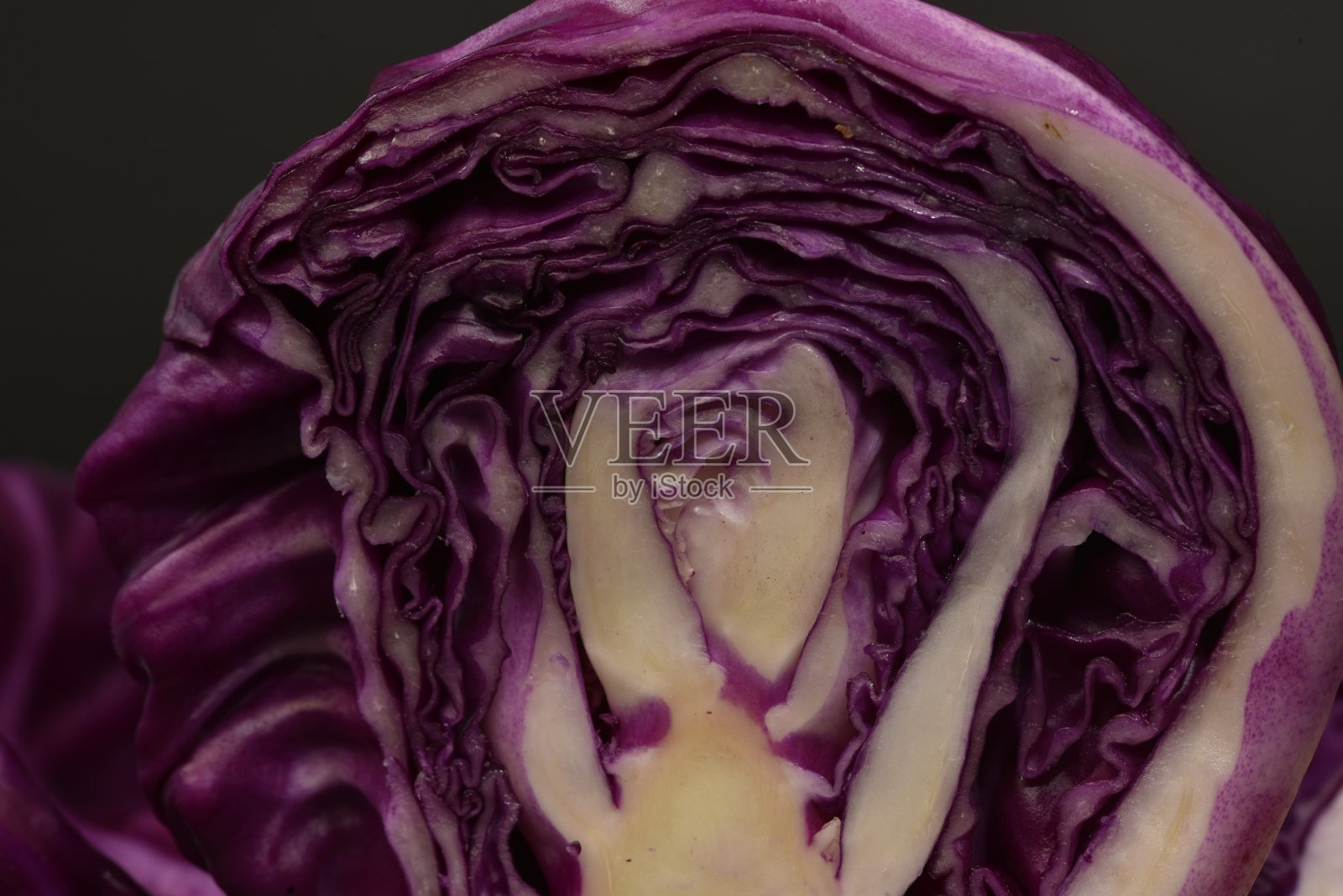 紫甘蓝片照片摄影图片