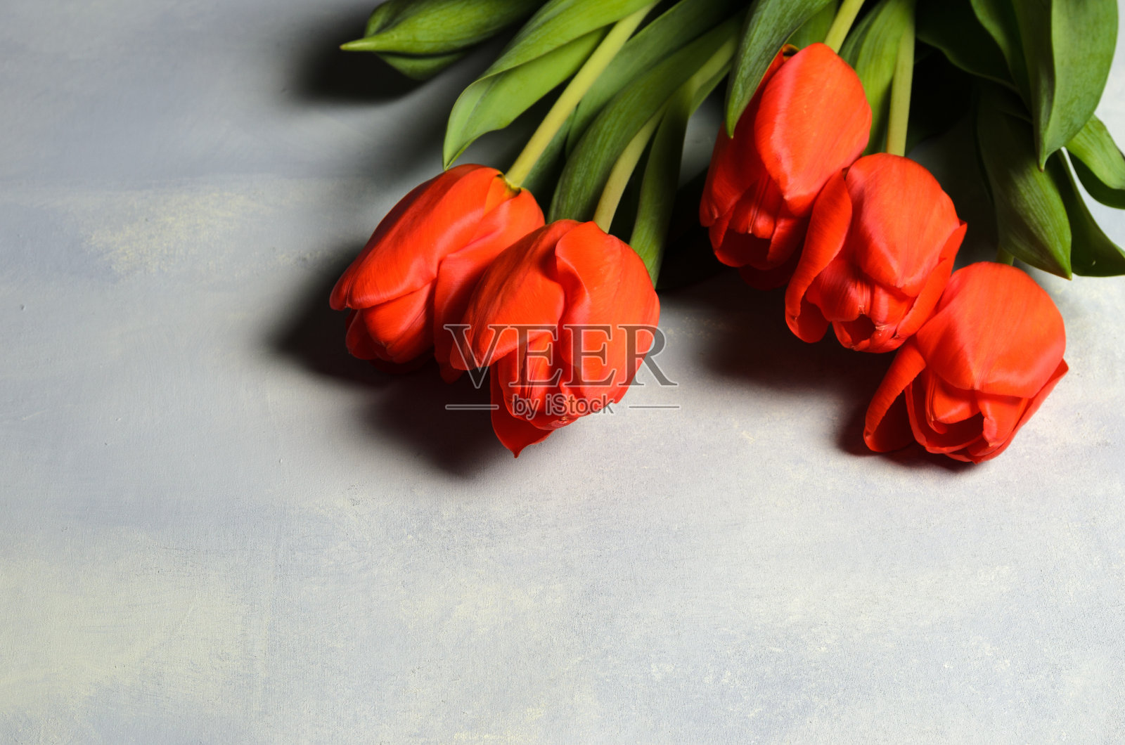 五只郁金香的花束在一个有纹理的抽象背景上。照片摄影图片