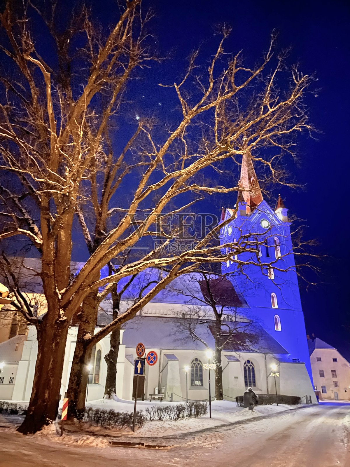 拉脱维亚Vidzeme冬景城照片摄影图片