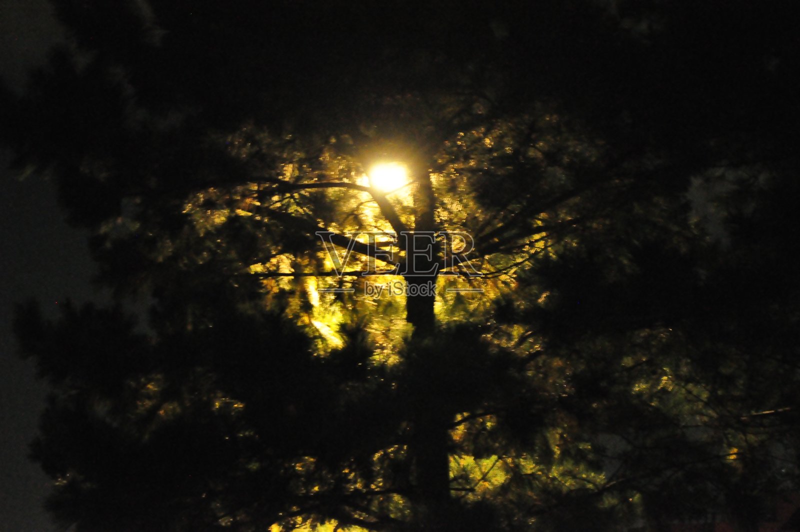 灯照片摄影图片