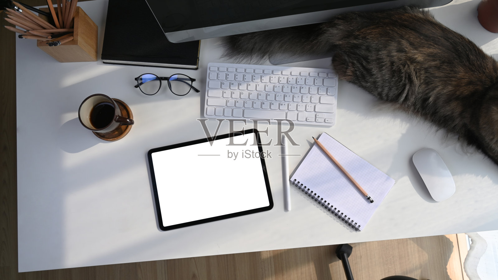 上图是现代工作场所的数字平板电脑，电脑，笔记本，咖啡杯和猫躺在白色的桌子上。照片摄影图片
