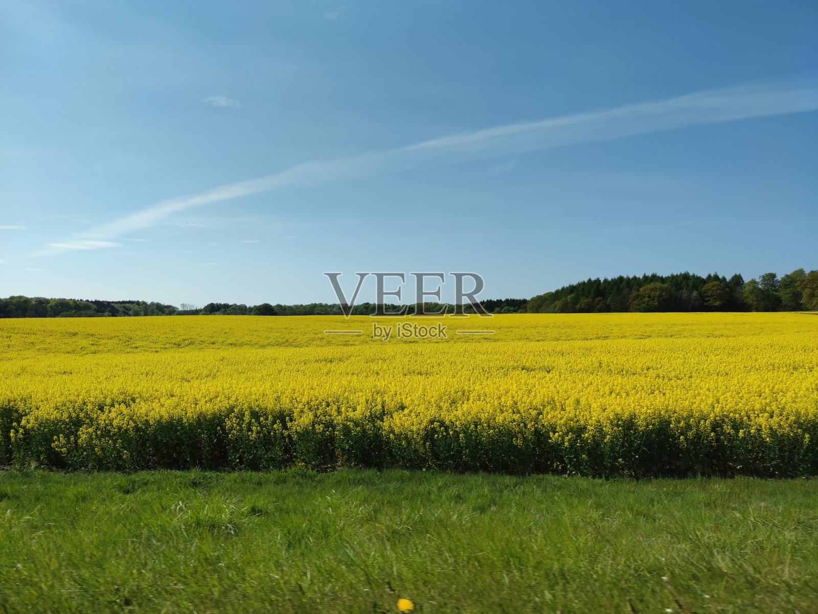 场照片摄影图片