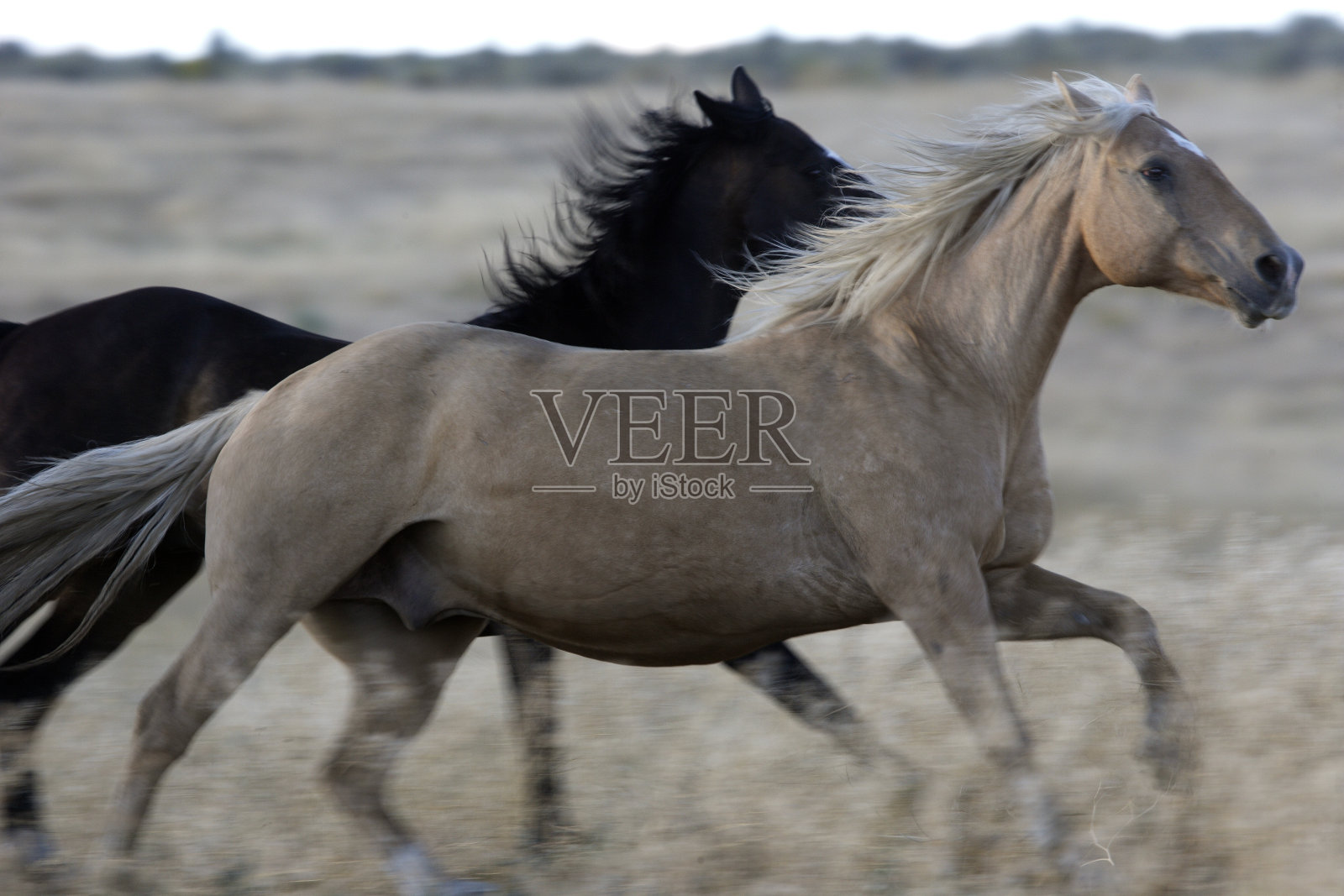 奎马照片摄影图片