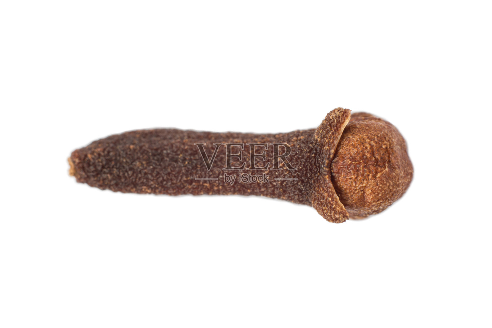 丁香丁香照片摄影图片