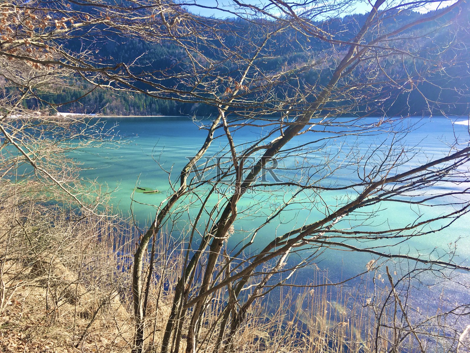 阿尔卑斯湖位于德国巴伐利亚州Ostallgäu区，位于Füssen东南约4公里处。它靠近新天鹅堡和霍恩施万高堡。照片摄影图片