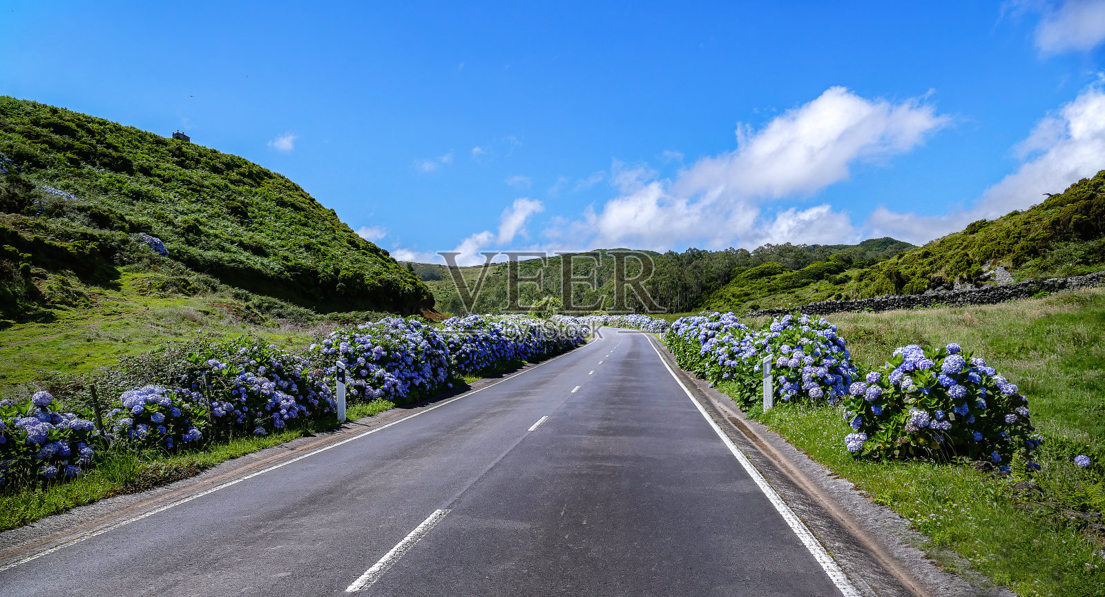 Azorian路照片摄影图片