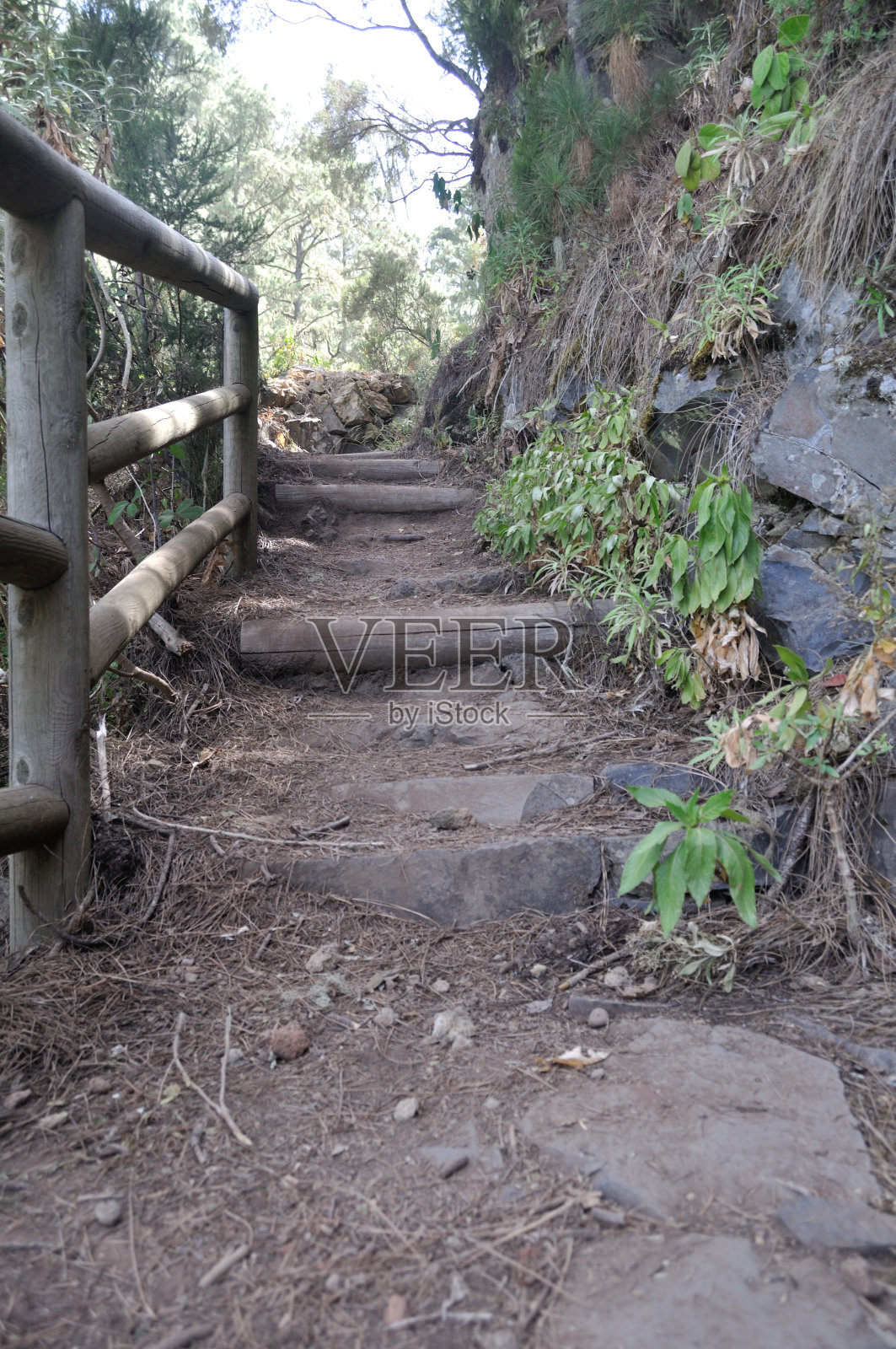 完全不同事物之间的对称性照片摄影图片